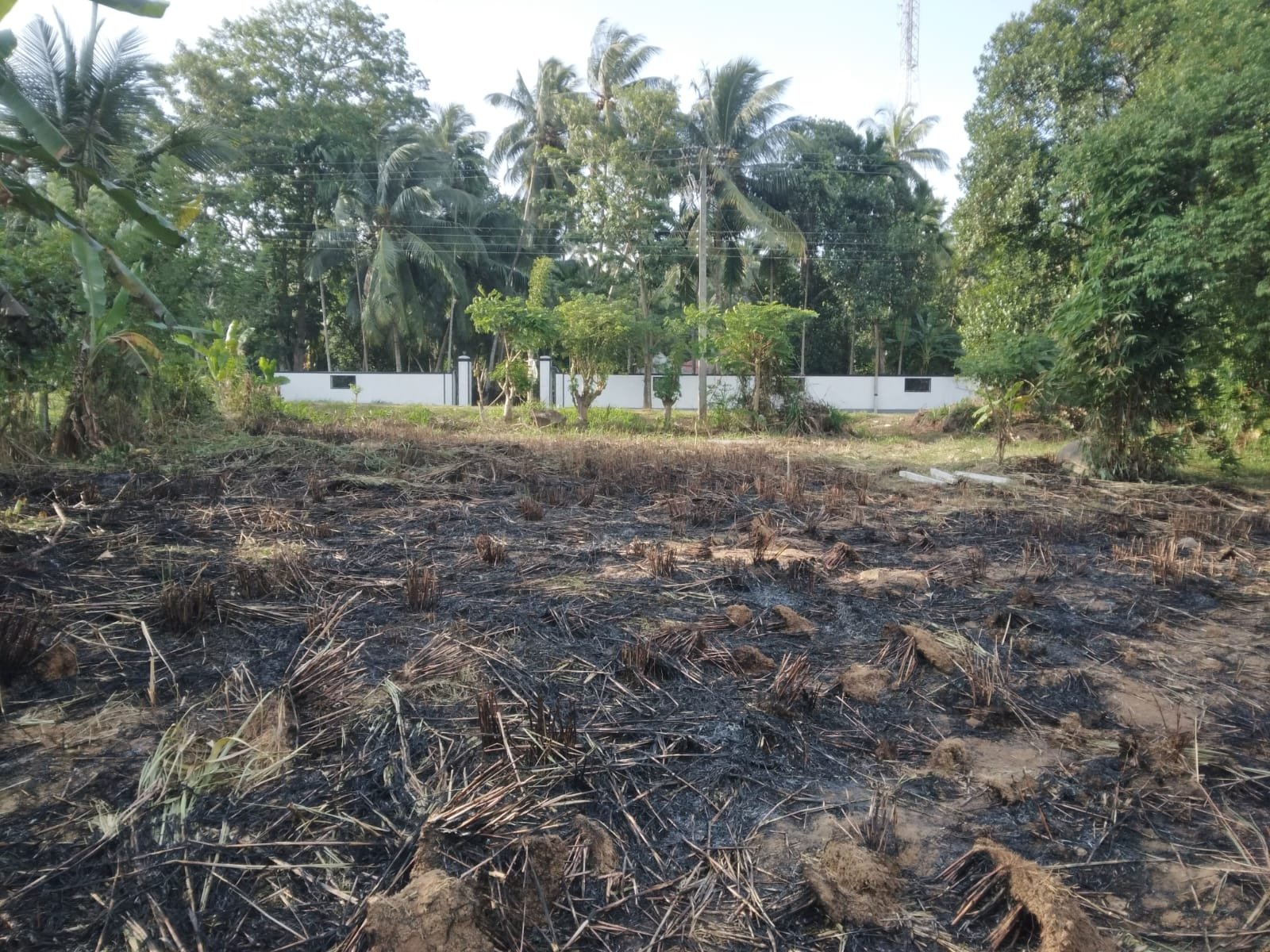 ගම්පහ මිරිස්වත්ත ඉතා වටිනා ඉඩමක්