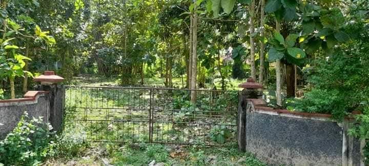 Land in beliatta-Kahawatta